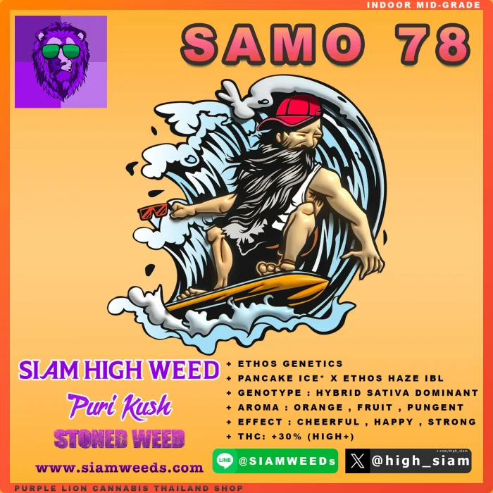 SAMO 78 - 1