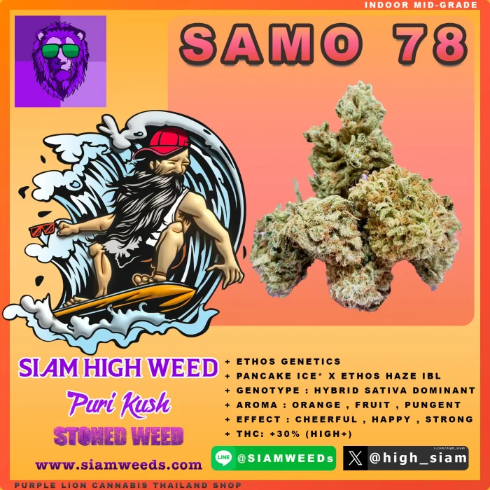 SAMO 78 - 3