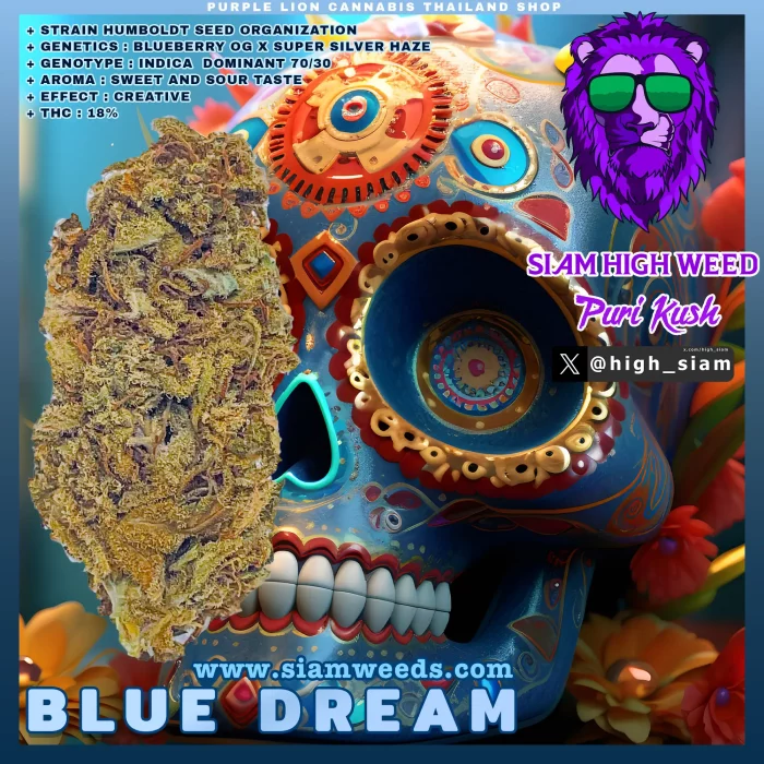 BLUE DREAM | HUMBOLDT | GREEN HOUSE