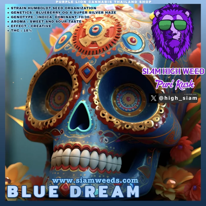 BLUE DREAM | HUMBOLDT | GREEN HOUSE