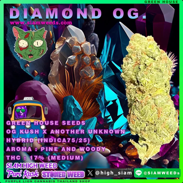 DIAMOND OG -1