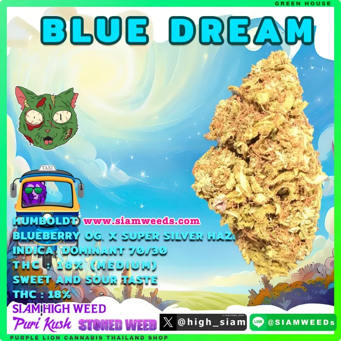 Blue Dream SS5-Green House -2