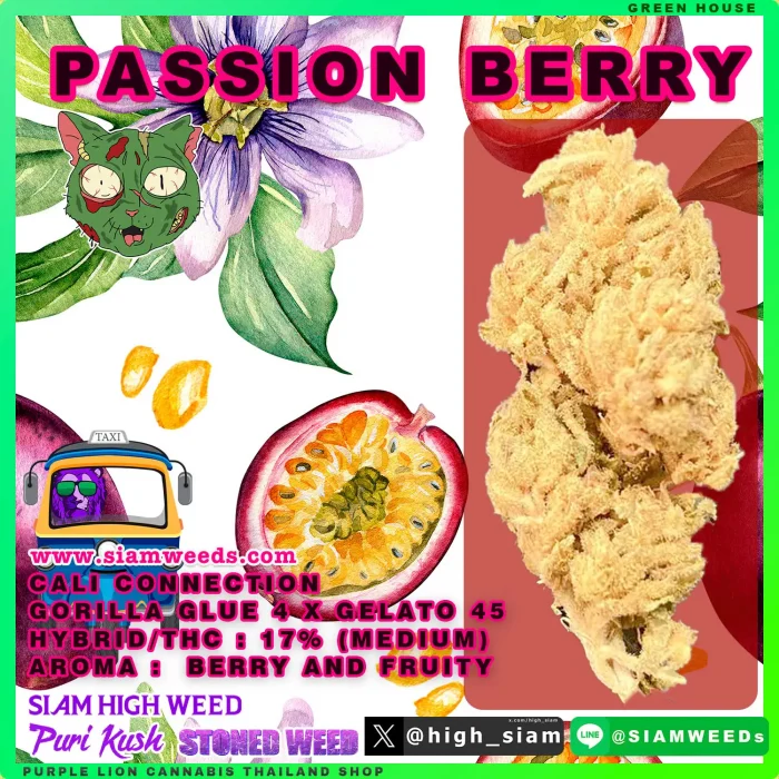 PASSION BERRY-2