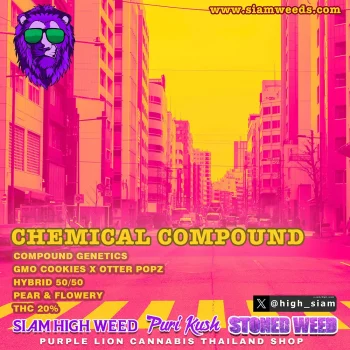 CHEMICAL COMPOUND
