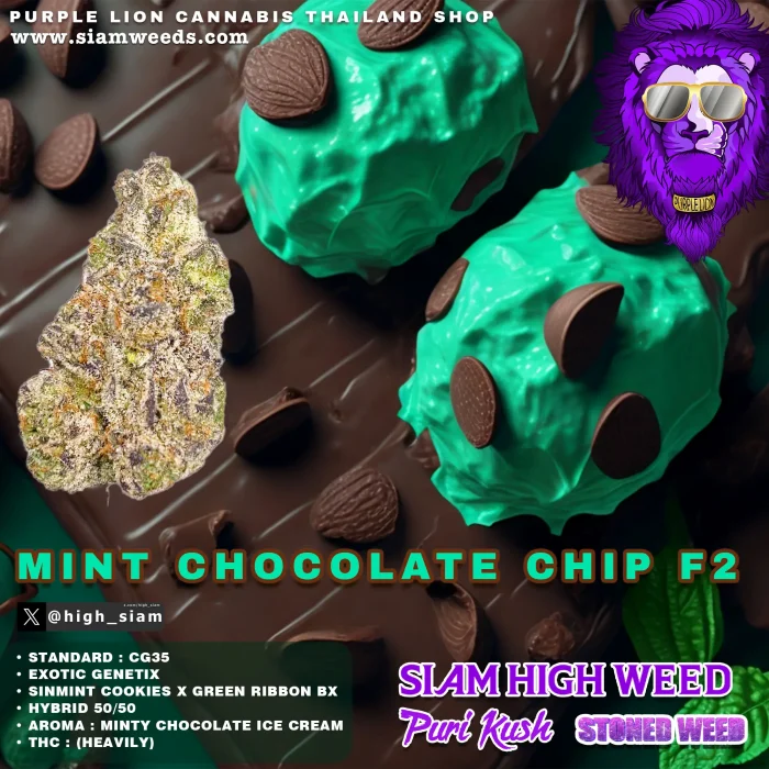 MINT CHOCOLATE CHIP F2